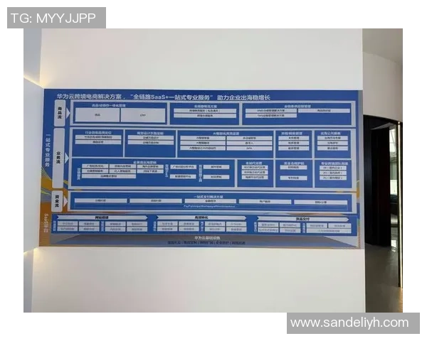 EDG在CSGO赛事中的运营策略分析与成败得失探讨