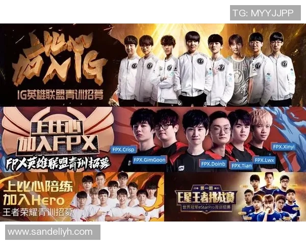 IG战队在王者荣耀中个人能力的提升与团队协作的深度融合探讨