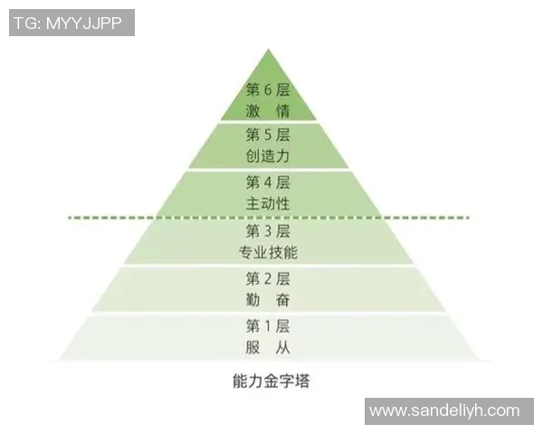 上海篮球队团队协作的成功之道与战术分析探讨