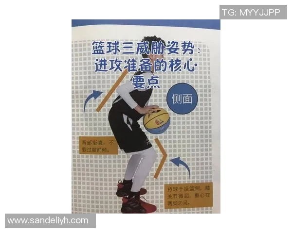 李静深度解析篮球技巧与战术分享助你提升球技的独家心得