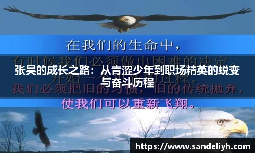 张昊的成长之路：从青涩少年到职场精英的蜕变与奋斗历程