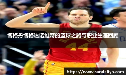博格丹博格达诺维奇的篮球之路与职业生涯回顾